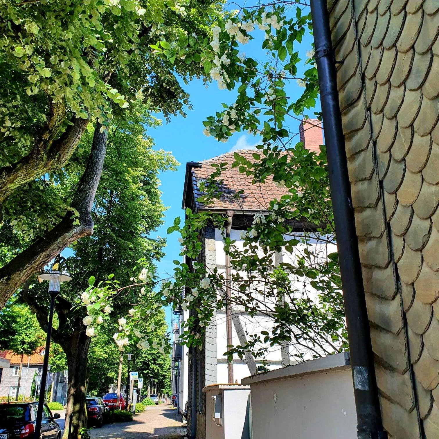 Stadtlandfluss Apartment *